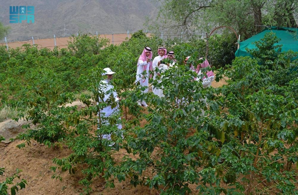 انطلاق مبادرة جديدة لدعم التنمية الزراعية في 2025.. جريدة الوطن السعودية