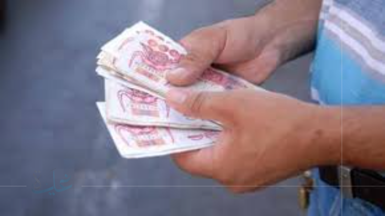 تجديد منحة البطالة بالجزائر 2025.. دليلك السريع لتحديث إعانتك أونلاين