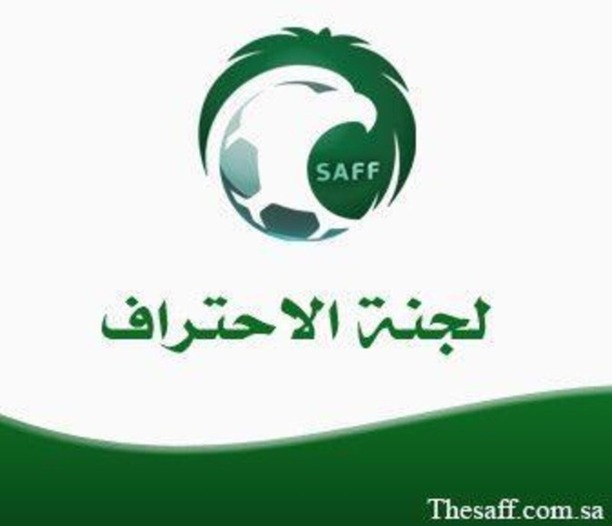 تحذيرات لجنة الاحتراف في دوري روشن 2025.. حسم الجدل حول “المواليد” وممارسات الأندية الكبرى
