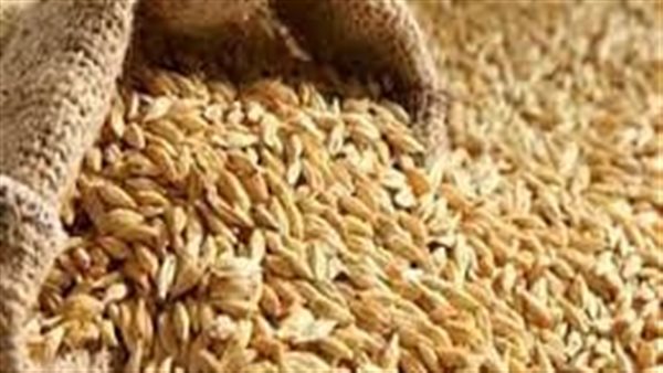تعرف على أسعار الأرز في الأسواق الثلاثاء 5 أغسطس 2025.. آخر تحديث لأسعار الأرز بكافة أنواعه