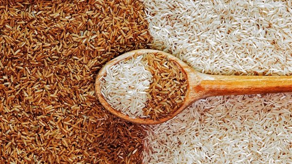 تعرف على سعر الأرز الشعير اليوم الأحد 10 أغسطس 2025.. ثبات ملحوظ في تعاملات الأسواق