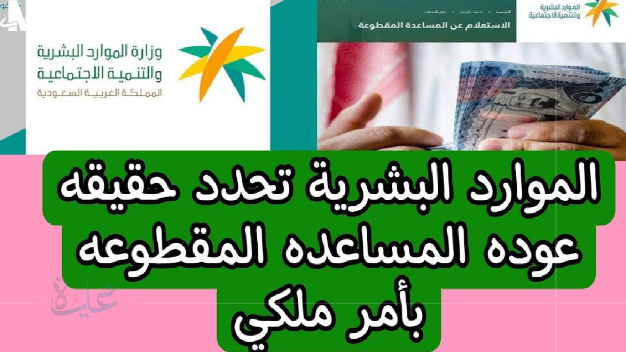 تفاصيل عودة المساعدة المقطوعة مع الضمان الاجتماعي في 2025.. تنويه هام من الموارد البشرية