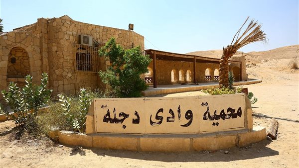 توجيهات وزيرة التنمية المحلية بفرض رقابة مشددة على المحميات الطبيعية عام 2025