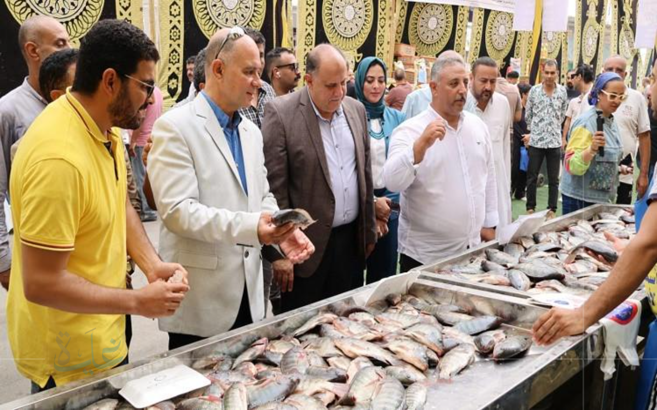 مبادرة أسماك البلد بالإسماعيلية.. جودة عالية وأسعار تناسب الجميع في 2025