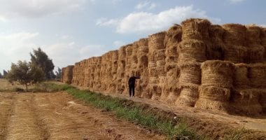 خطط جديدة بالشرقية لمواجهة السحابة السوداء في عام 2025