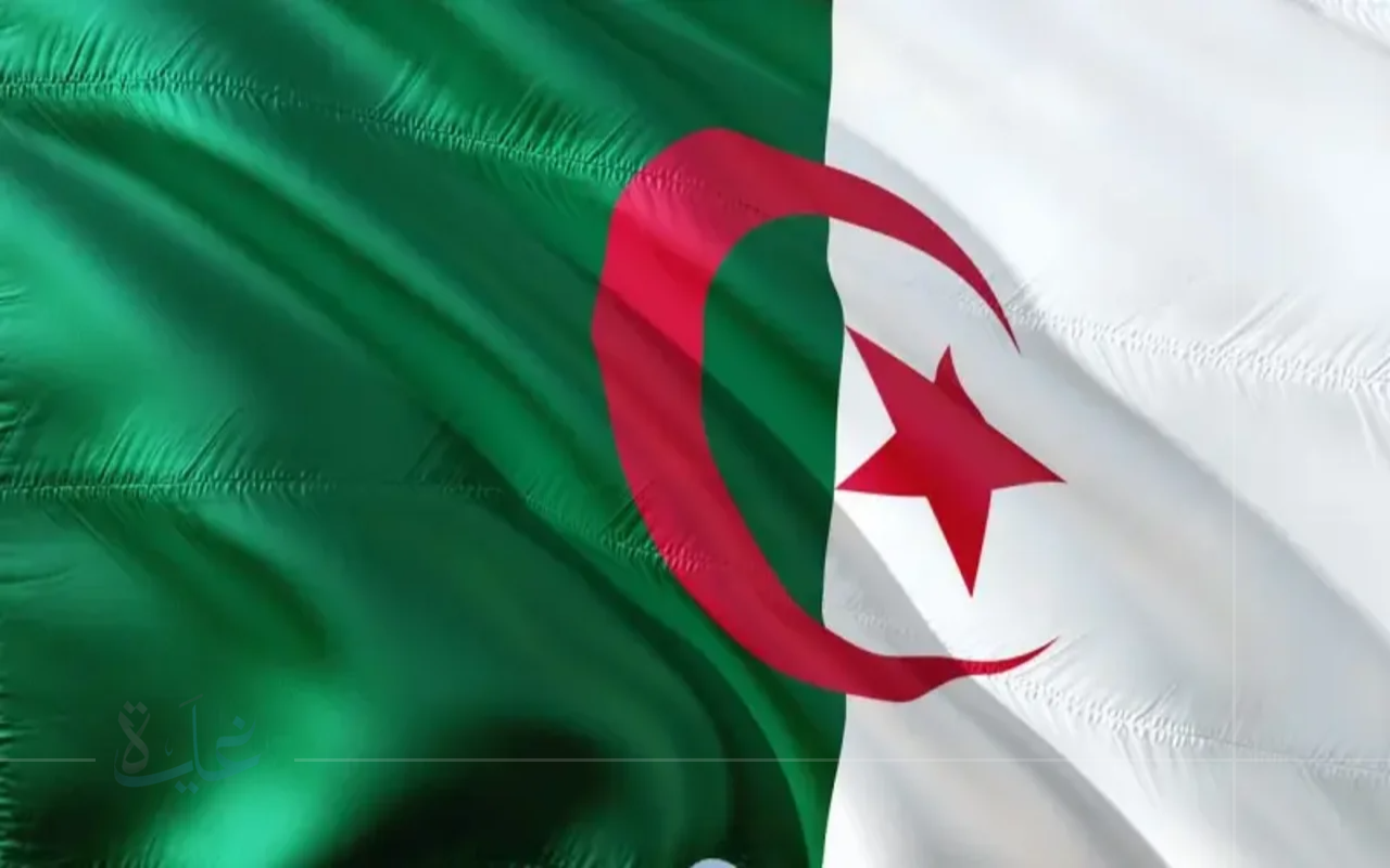 قرارات حكومية جديدة.. رفع سن التقاعد في الجزائر مع تغييرات استثنائية عام 2025