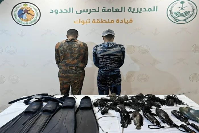 صحيفة المرصد.. توقيف غواصين اصطادا الأسماك بلا إذن في تبوك عام 2025