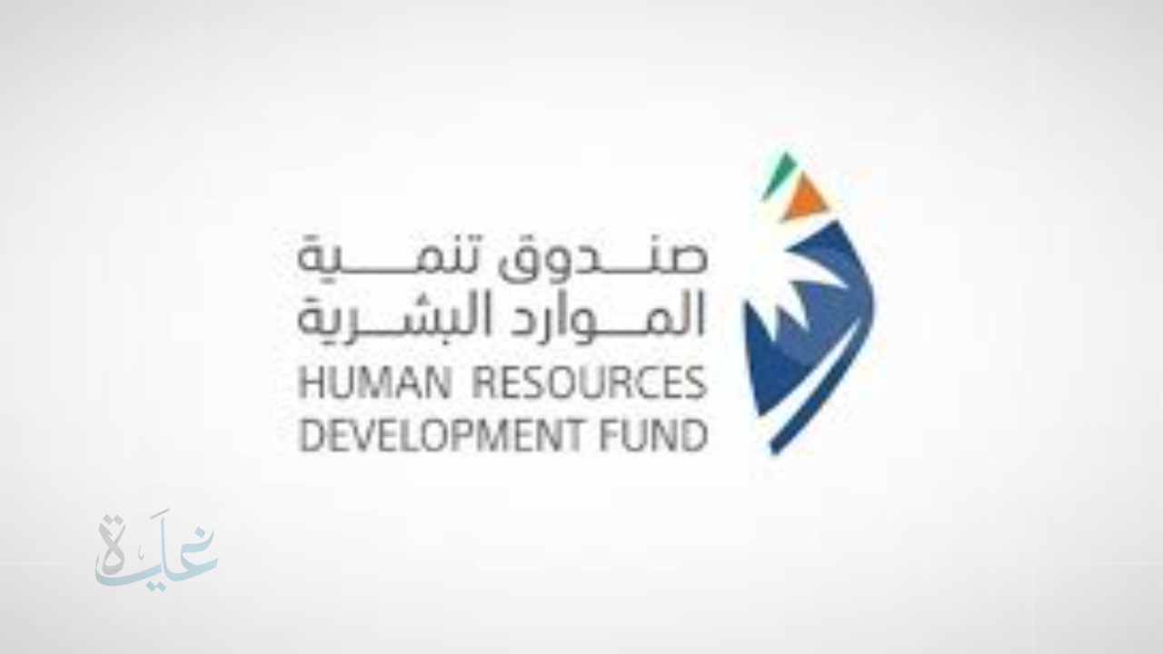 فرصة استثنائية للخريجين الجدد.. كل ما تحتاج معرفته عن برنامج تمهير 2025 للتدريب العملي والمكافآت الشهرية
