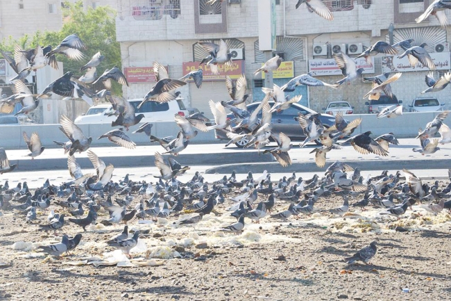 فرض غرامة مالية بقيمة 500 دينار على من يُسقط الأطعمة بالأماكن العامة في 2025