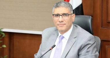 محافظ الجيزة يؤكد استقرار وانتظام سير العملية الانتخابية فى أجواء آمنة خلال 2025