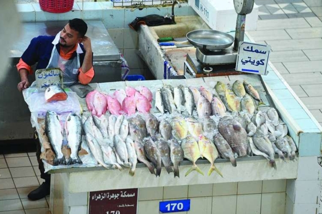 تقرير الإحصاء.. صيد الأسماك يحقق 970 ألف دينار في الربع الأول من 2025