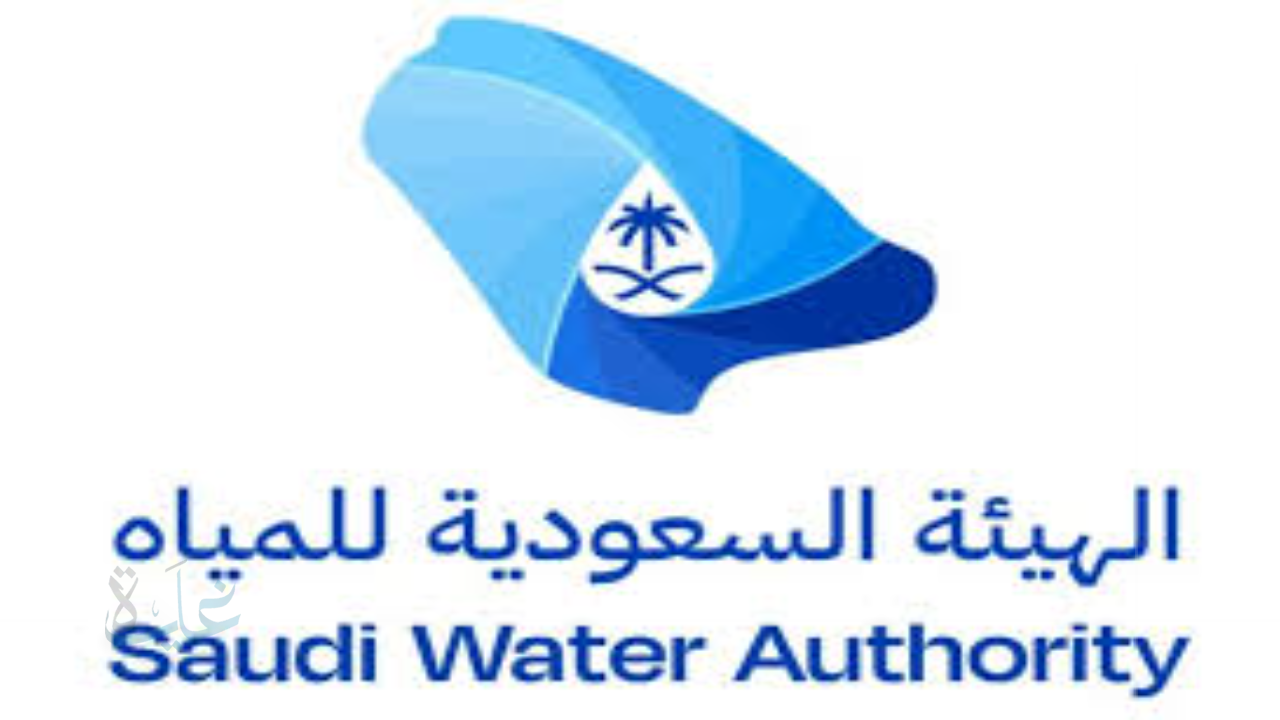 مهلة أخيرة من المياه الوطنية لتصحيح بيانات المشتركين في مناطق السعودية.. توقف العدادات وفصل الخدمة خلال ساعات في 2025