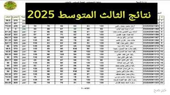 النتائج نزلت رسمياً.. رابط نتائج الثالث متوسط 2025 الدور الثالث لكل المحافظات على موقع نتائجنا PDF بكل سهولة
