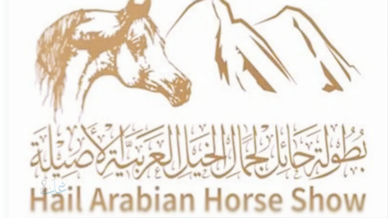 التسجيل في بطولة حائل الدولية 2025.. انطلاق النسخة الرابعة لجمال الخيل العربية الأصيلة في نوفمبر