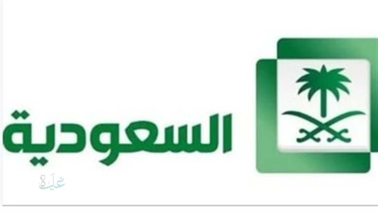 تردد قناة السعودية نيوز الجديد 2025 على نايل سات وعرب سات.. بث إخباري بجودة عالية وتحليل دقيق للأحداث