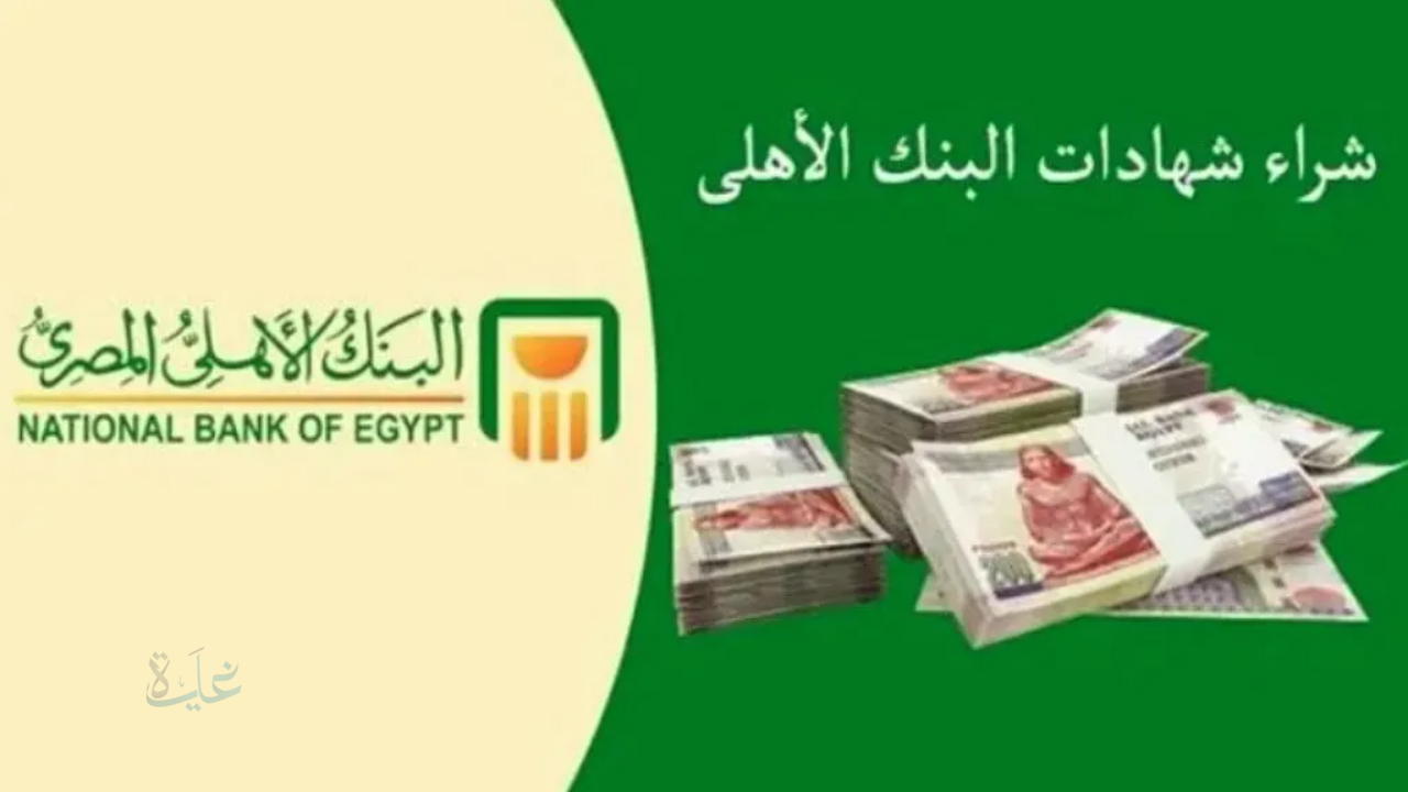 شهادات البنك الأهلي 2025: عائد مرتفع وخيارات تناسب كل فئة من العملاء