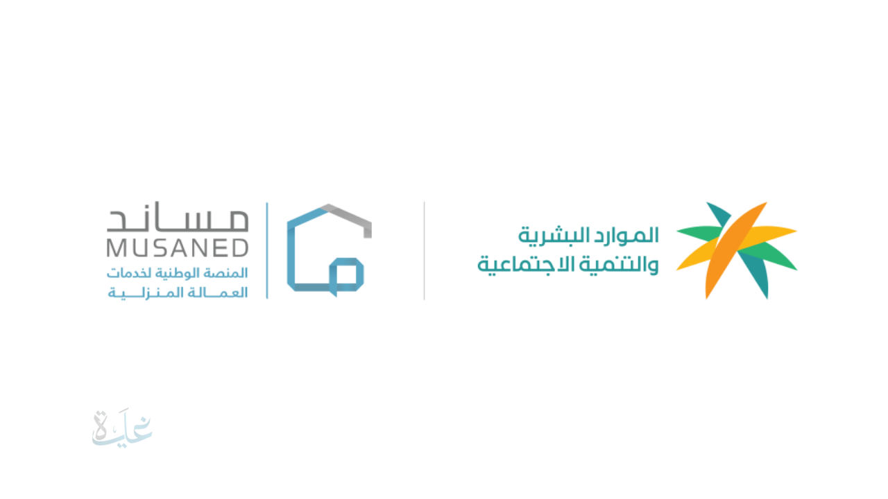 ضبط 37 مكتب استقدام مخالف.. الموارد البشرية تشدد الرقابة لحماية حقوق العمالة وتنظيم السوق