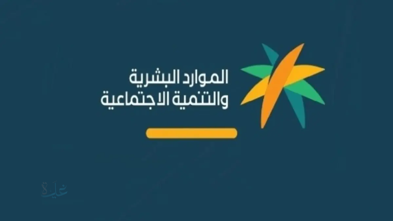 قرار جديد من الموارد البشرية.. توطين 44 مهنة محاسبية يفتح آلاف الفرص للسعوديين في القطاع الخاص