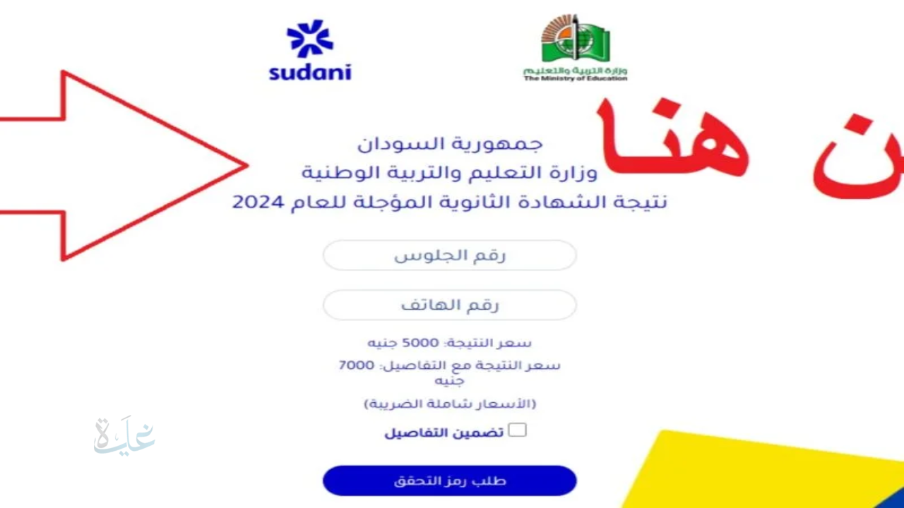 الآن.. نتيجة الشهادة الثانوية السودانية المؤجلة 2025 عبر result.sudani.sd لجميع الطلاب