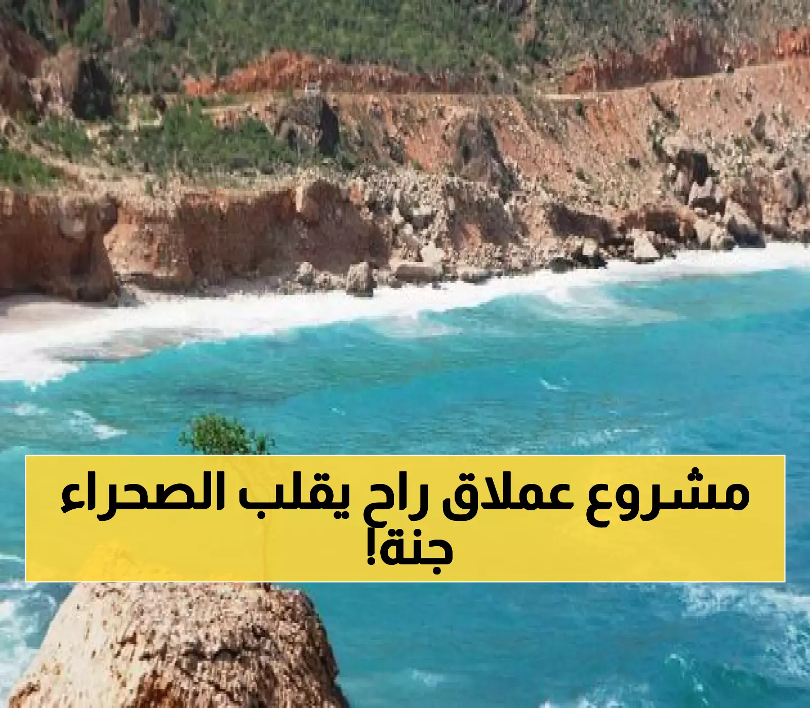 مشروع ضخم لتحويل الربع الخالي إلى جنة خضراء.. قناة مائية بتكلفة 80 مليار دولار تربط الخليج ببحر العرب عبر السعودية واليمن