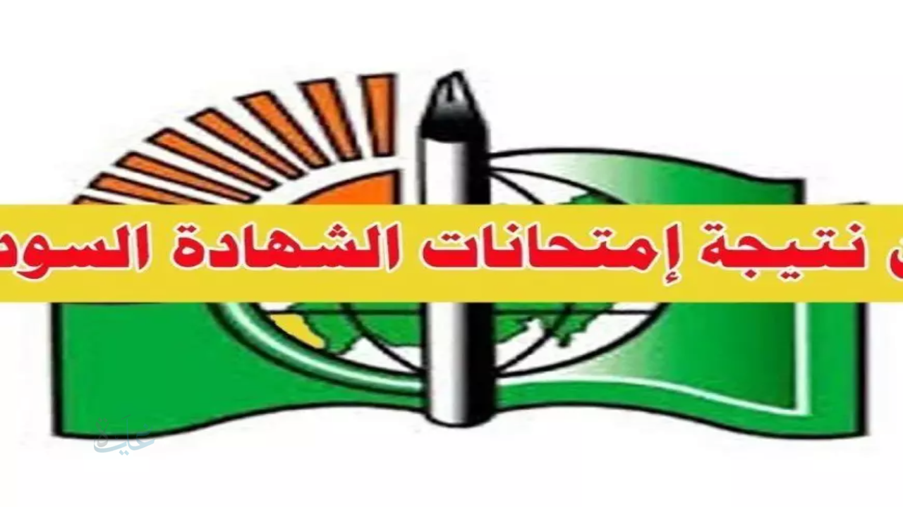 رسمياً ظهرت..لينك نتيجة الشهادة السودانية 2024 المؤجلة عبر موقع وزارة التربية والتعليم السودانية