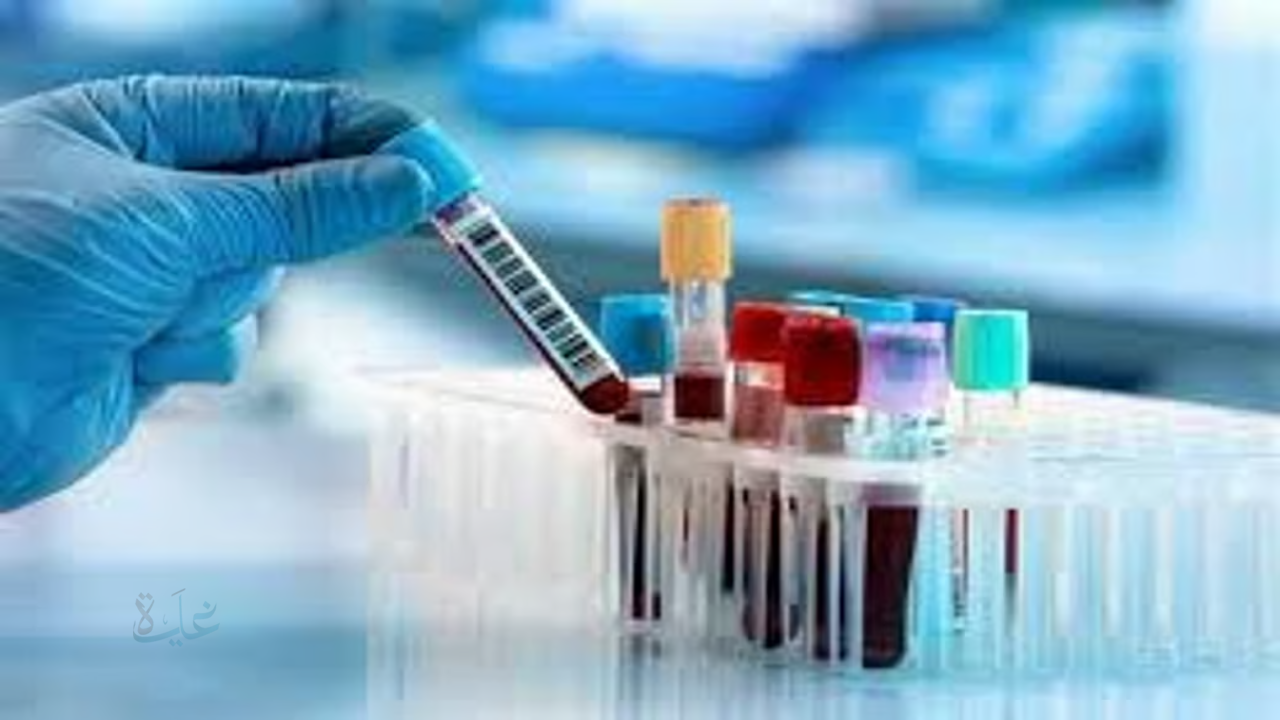 لا تنتظر ظهور الأعراض… 4 تحاليل لا غنى عنها بعد سن الأربعين تحميك من أخطر الأمراض اعرفها قبل فوات الأوان!