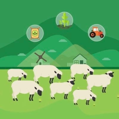 متفوتش فرصتك! كل تفاصيل دعم مواشي 1447 موعد الصرف وشروط الأهلية بالخطوات السهلة