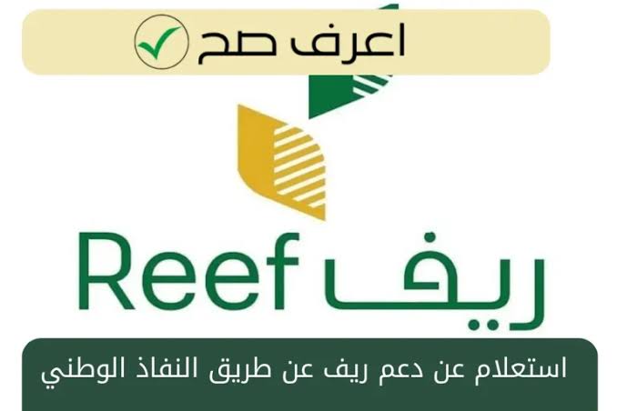 “دعم ريف 1447.. خطوات التسجيل والاستعلام عن الدعم للمزارعين والأسر الريفية بسهولة!”