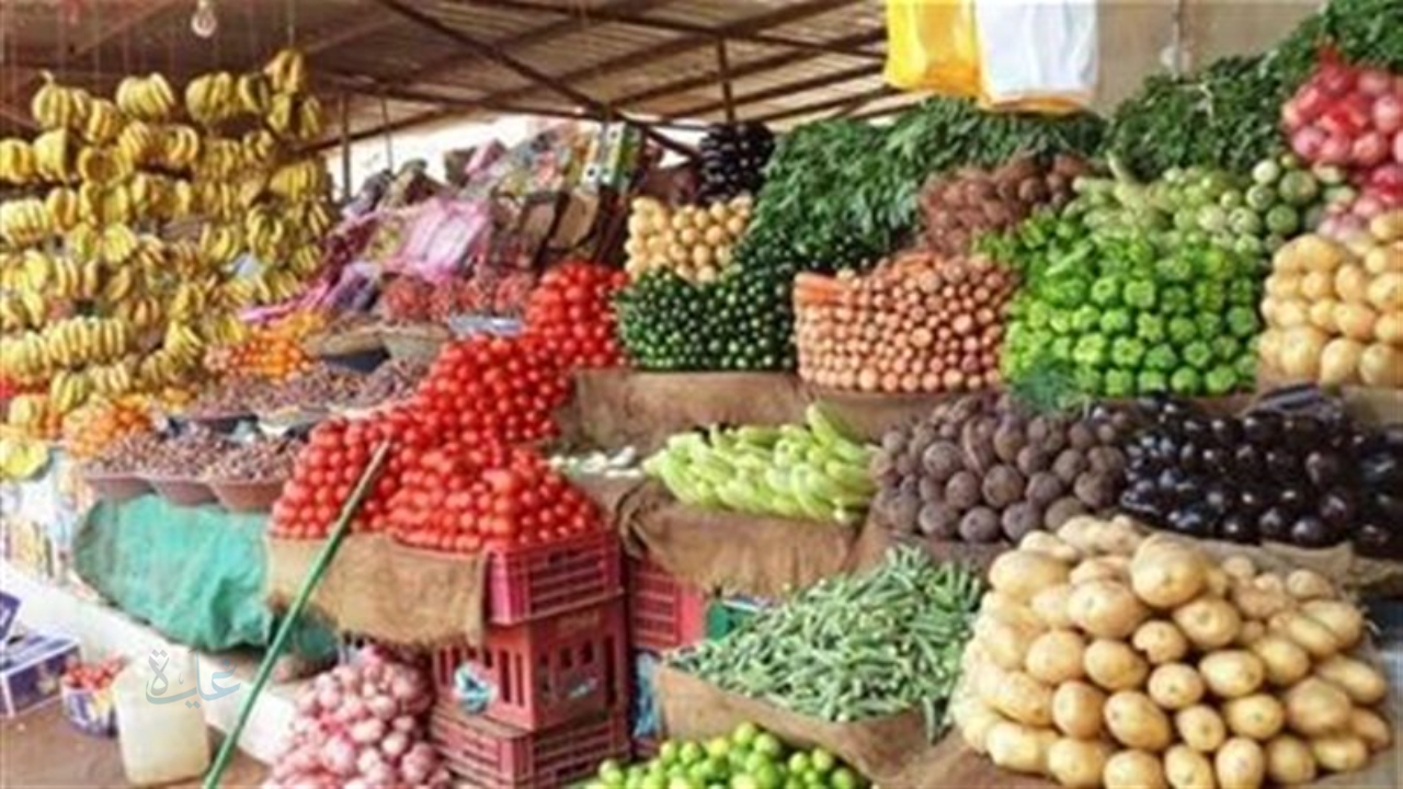 من السوق للسلة! اسعار الخضار والفاكهة في مصر اليوم الإثنين.. الطماطم بتنزل الحقي خزني لرمضان