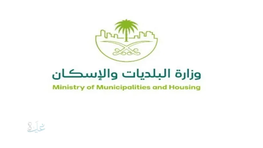 زيادة مكافآت رصد المخالفات 