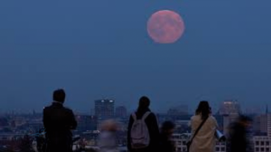 ظاهرة نادرة في نوفمبر.. القمر العملاق يسطع بأكبر بدر لعام 2025