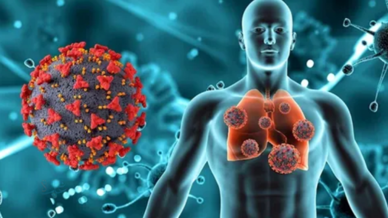 أحذر من دور البرد! متحور الإنفلونزا الجديد H3N2 يكتسب خصائص مقلقة قد تسرّع انتشاره في 2025–2026