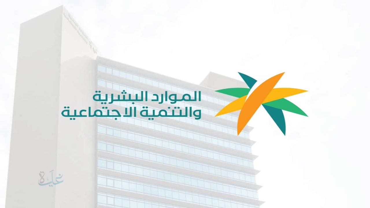 كم يتبقى على نزول الضمان؟.. موعد صرف معاش ديسمبر 2025 وشروط القبول الجديدة المعتمدة رسميًا