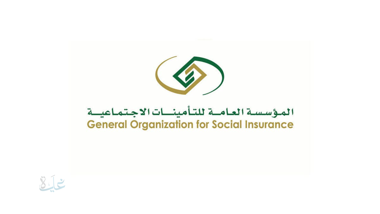 موعد صرف راتب التقاعد لشهر ديسمبر 2025 وخطوات الاستعلام إلكترونيًا و شروط الاستحقاق