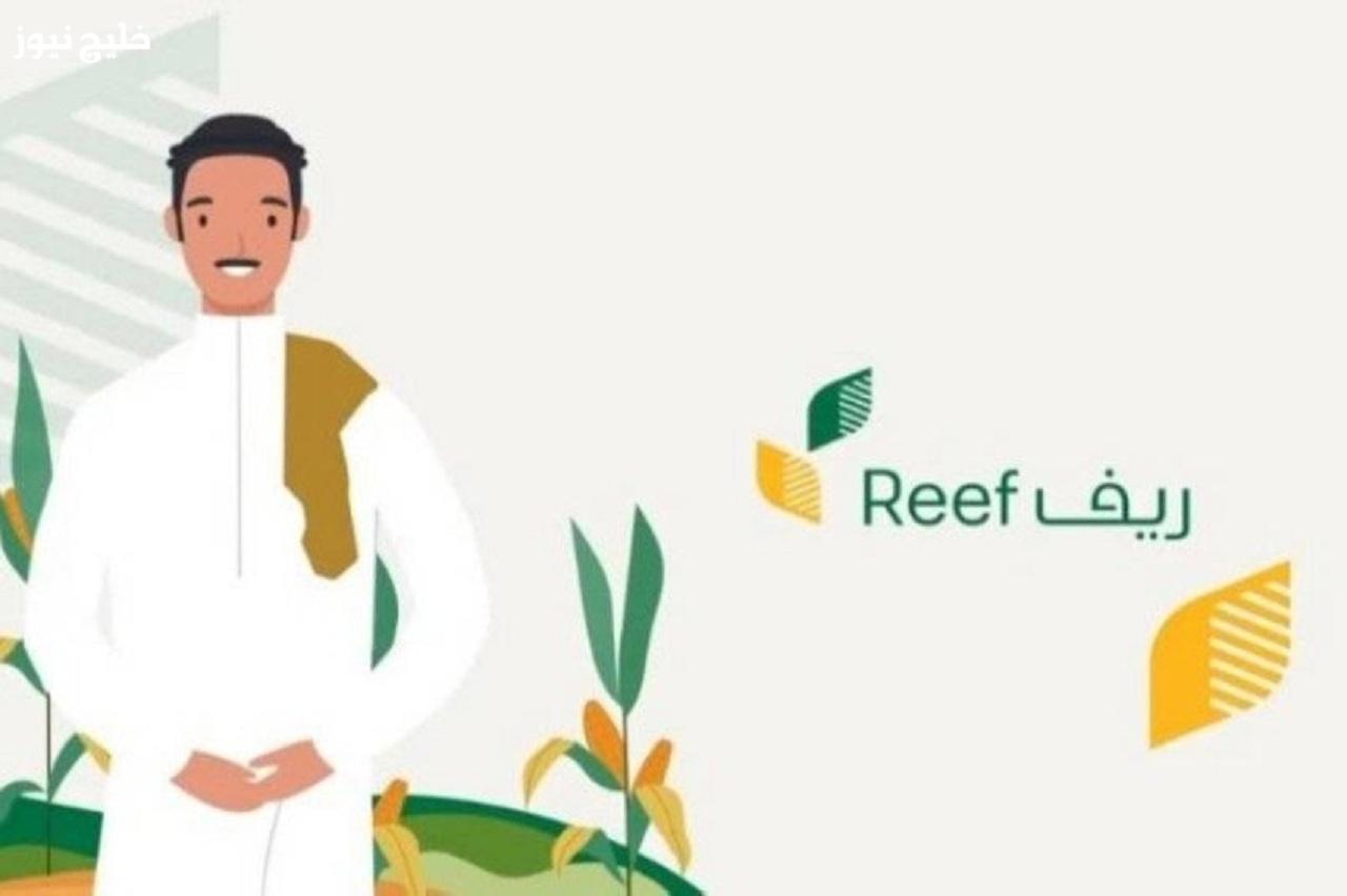 فلوس دعم ريف بانتظارك! رابط التسجيل في دعم ريف 2025 وخطوات التقديم خطوة بخطوة – لا تفوّت الفرصة 