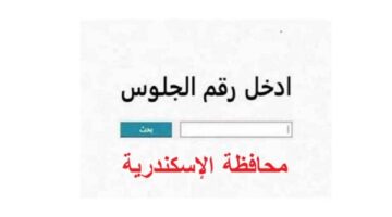 ظهرت رسميا نتيجة الصف الثالث الإعدادي الاسكندرية الترم الاول برقم الجلوس فقط.. رابط مباشر