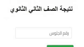 رسميا.. رابط نتيجة ثانية ثانوي 2026 بالجيزة والقاهرة بالاسم ورقم الجلوس فقط.. مليون مبروك للناجحين