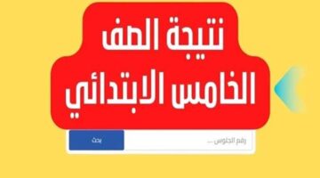 استعلم الآن رسميًا.. رابط الاستعلام عن نتيجة الصف الخامس الابتدائي الفصل الدراسي الأول في محافظة القاهرة 2026