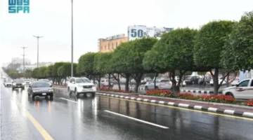 طقس السعودية اليوم الخميس 22 يناير 2026 ودرجات الحرارة بمختلف المناطق