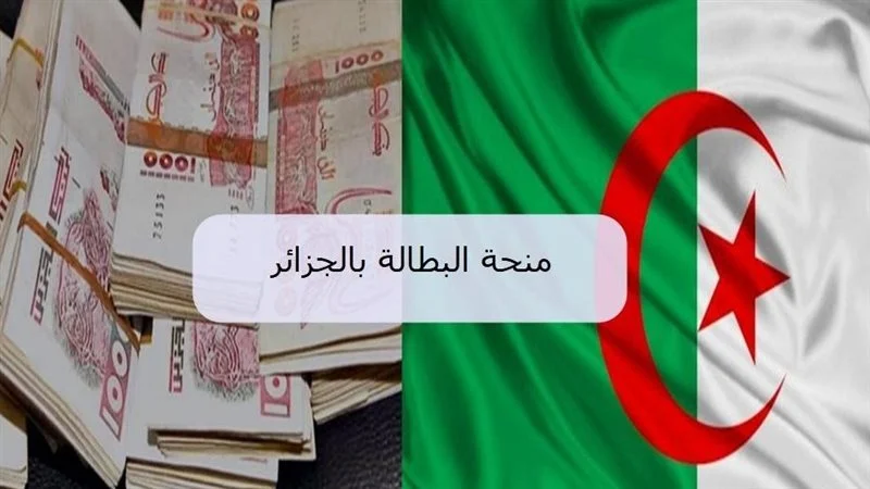 منحة البطالة بالجزائر 2025 «تأمين مستقبلك» | الشروط وخطوات التقديم