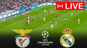 ماتش الصعود.. بداية مباراة ريال مدريد ضد بنفيكا في دوري أبطال أوروبا بجودة عالية مباشر عبر بين سبورت