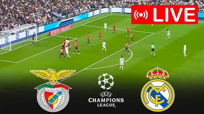 ماتش الصعود.. بداية مباراة ريال مدريد ضد بنفيكا في دوري أبطال أوروبا بجودة عالية مباشر عبر بين سبورت