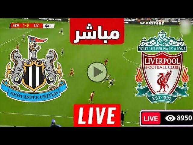 الان مباشر مباراة Liverpool vs Newcastle بجودة عالية في الدوري الانجليزي.. لحظه بلحظه
