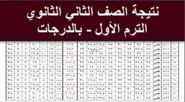 "استخـرج درجـاتك" نتيجة الصف الثاني الثانوي 2026 الترم الأول (علمي وأدبي) خـلال موقع الوزارة الرسمي قريبـا