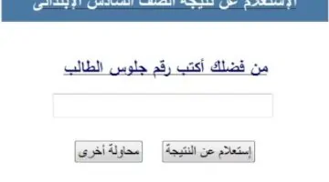 results تنزيل نتيجة الصف الاول الثانوي الترم الاول 2026 جميع المحافظات بالأسم عبر eduserv.cairo.gov.eg