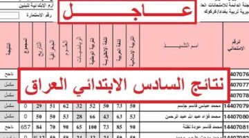هُنا.. نتائج السادس الابتدائي 2026 الدور التمهيدي موقع نتائجنا من خلال الموقع الرسمي