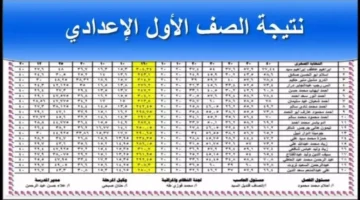 "استخـرج درجاتك" استعلم عن نتائج الصف الاول الاعدادي 2025 خـلال موقع الوزارة الرسمـي حال اعلانها