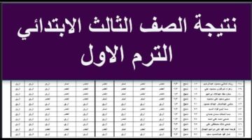 استعلم حالا.. رابط الاستعلام عن نتيجة الصف الثالث الابتدائي الفصل الدراسي الأول برقم الجلوس والاسم في محافظة القاهرة 2026