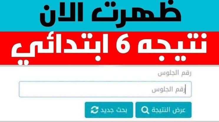 مبروك النجاح.. رابط وخطوات الاستعلام عن نتيجة الصف السادس الابتدائي الفصل الدراسي الأول عبر بوابة نتائج التعليم الأساسي في القاهرة 2026