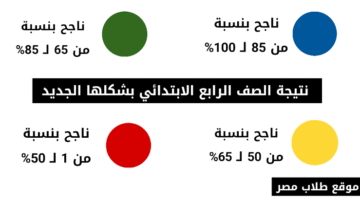 هنا.. الدليل الكامل لتفسير الألوان في نتيجة سنوات النقل 2026